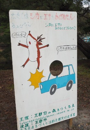 ウケた画像w：コメント1907