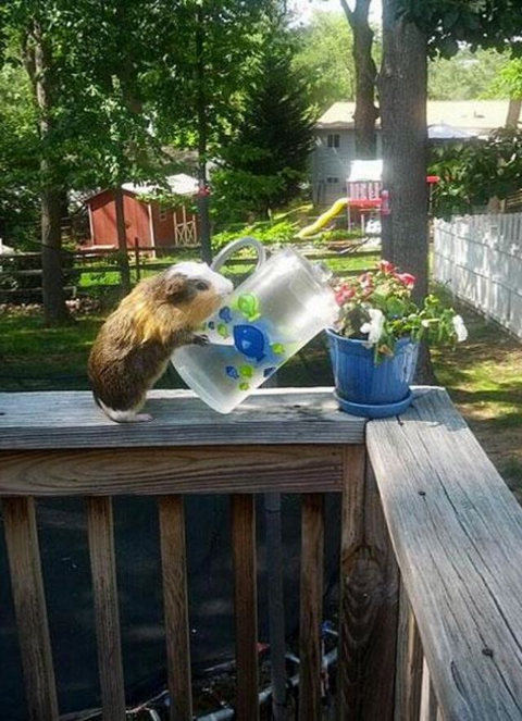 ウケた画像w：コメント1859