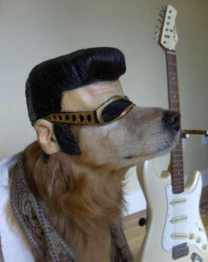 ウケた画像w：コメント1944