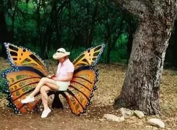 ウケた画像w：コメント2006