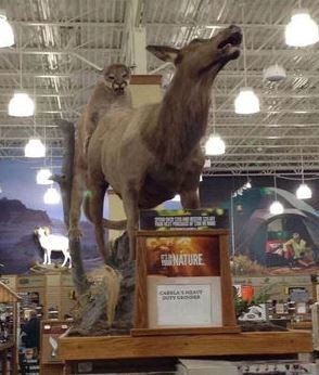 ウケた画像w：コメント2259