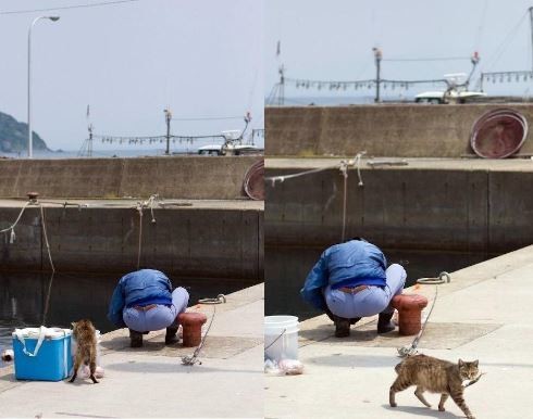 ウケた画像w：コメント2095