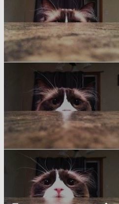 ウケた画像w：コメント2074