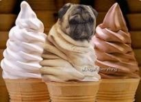 ウケた画像w：コメント2040