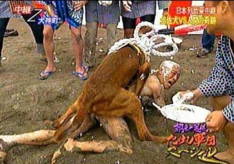 ウケた画像w：コメント2191