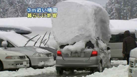 ウケた画像w：コメント2096