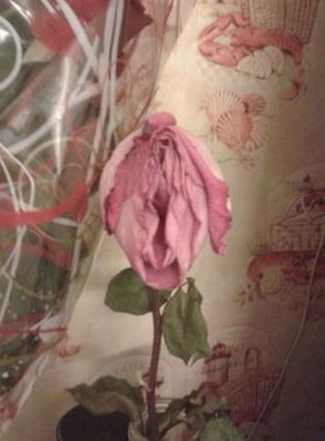 ウケた画像w：コメント2293