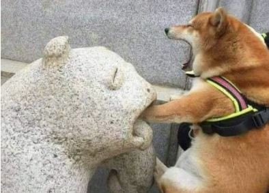 ウケた画像w：コメント2169