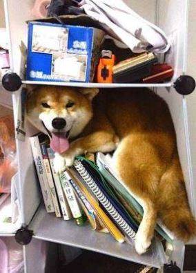 ウケた画像w：コメント2176