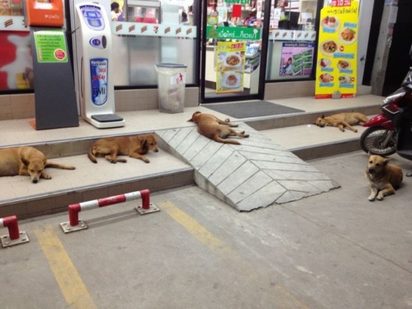 ウケた画像w：コメント2406