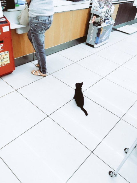 ウケた画像w：コメント2382