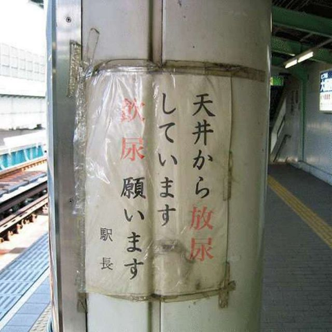 ウケた画像w：コメント1128