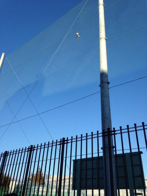 ウケた画像w：コメント2451