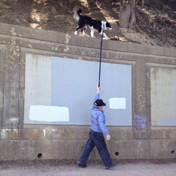 ウケた画像w：コメント2639