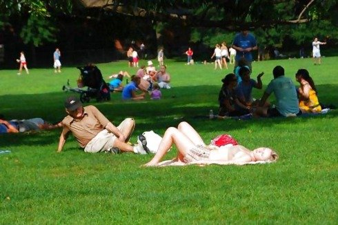 ウケた画像w：コメント2561