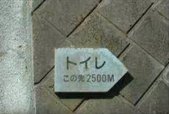 ウケた画像w：コメント2602