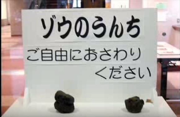 ウケた画像w：コメント2606