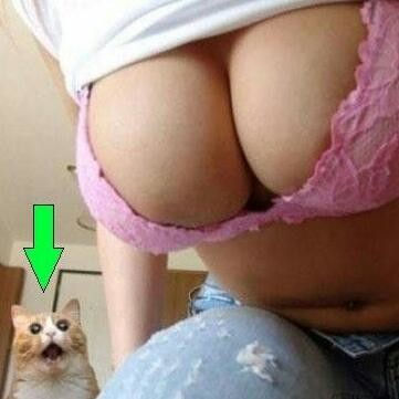 ウケた画像w：コメント2563