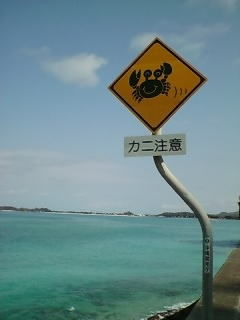 ウケた画像w：コメント2658