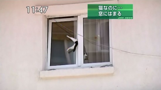 ウケた画像w：コメント1261