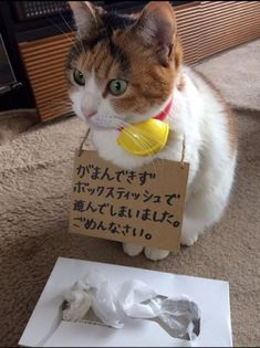 ウケた画像w：コメント2805