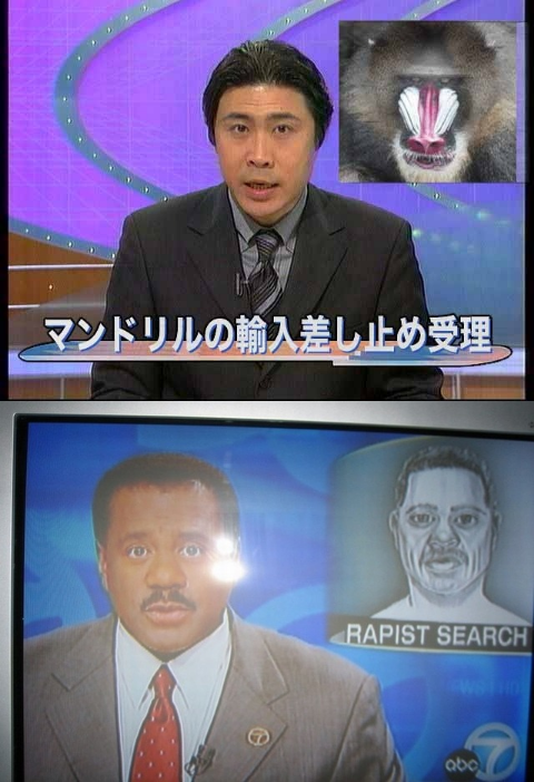 ウケた画像w：コメント1289