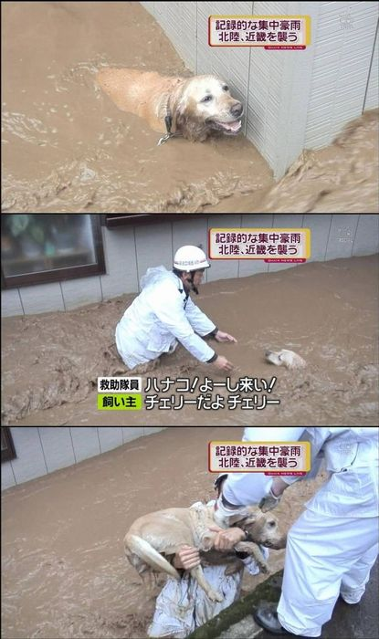 ウケた画像w：コメント1269