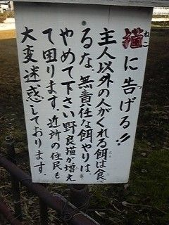 ウケた画像w：コメント1532