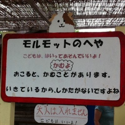 ウケた画像w：コメント1604