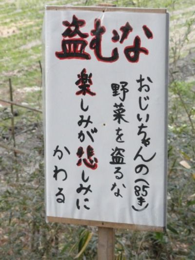 ウケた画像w：コメント1587