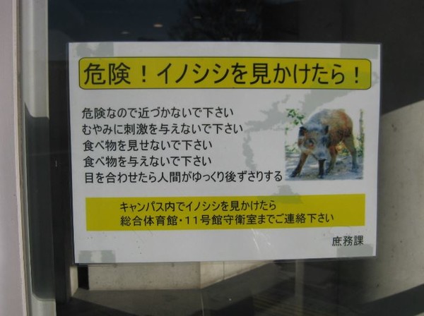 ウケた画像w：コメント1704