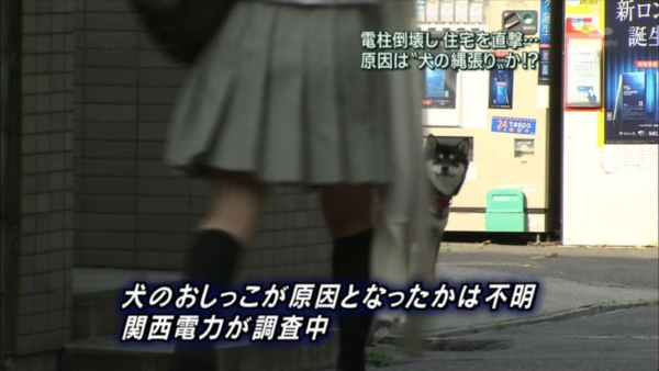 ウケた画像w：コメント1601