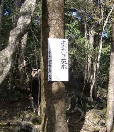 ウケた画像w：コメント1775