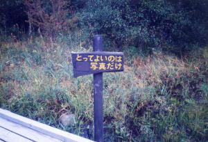 ウケた画像w：コメント1678