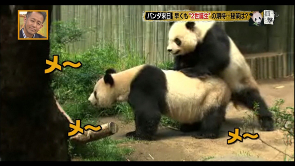 ウケた画像w：コメント1638