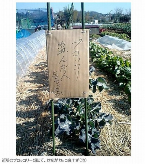 ウケた画像w：コメント1602