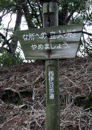 ウケた画像w：コメント1825