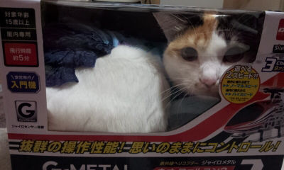 ウケた画像w：コメント5388