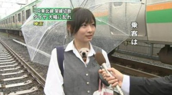 ウケた画像w：コメント5396