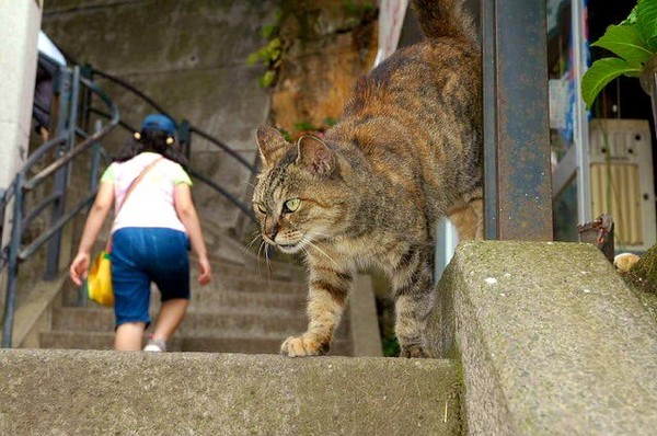 ウケた画像w：コメント5451