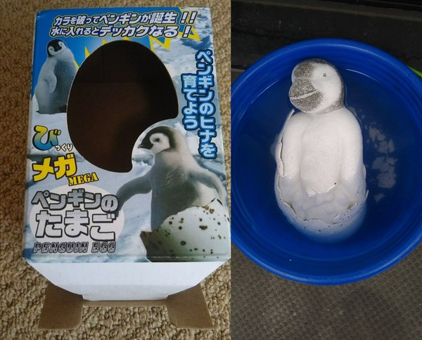 ウケた画像w：コメント5429