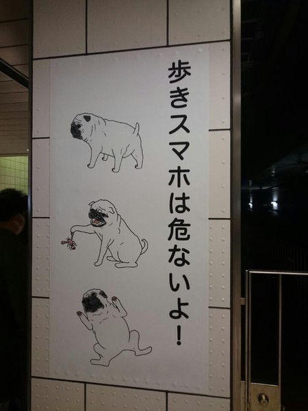 ウケた画像w：コメント5498