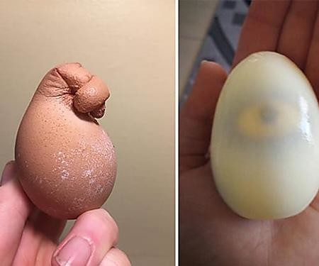 ウケた画像w：コメント5511