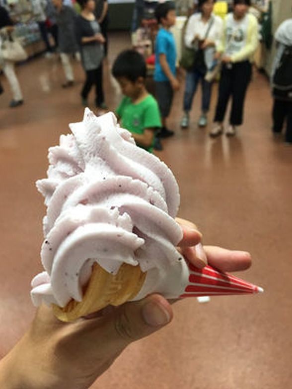 ウケた画像w：コメント5536