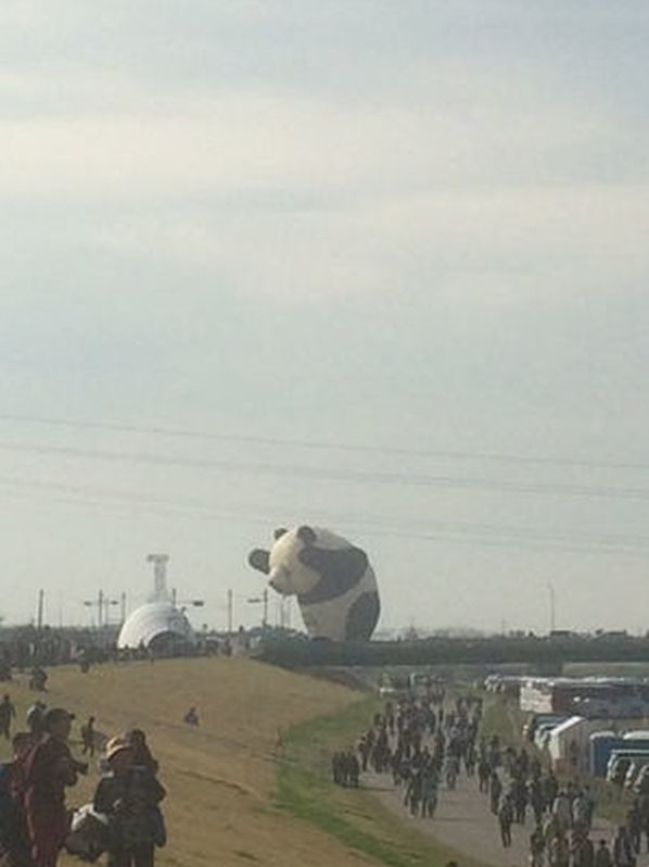 ウケた画像w：コメント5524