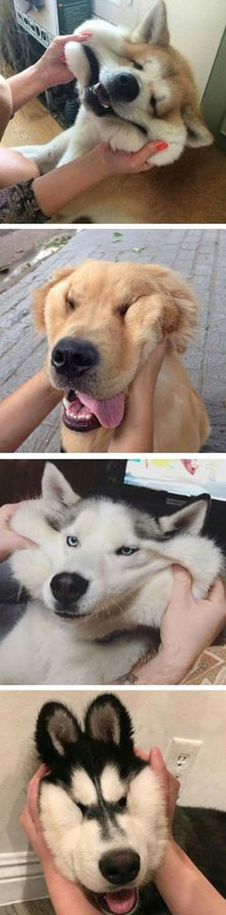 ウケた画像w：コメント5585