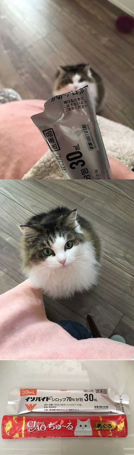 ウケた画像w：コメント5662