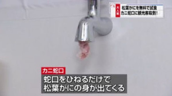 ウケた画像w：コメント5685