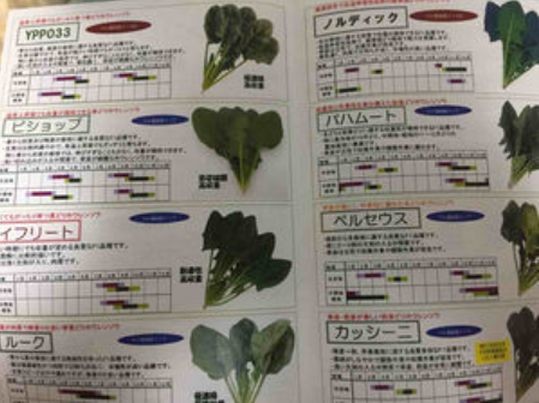 ウケた画像w：コメント5669