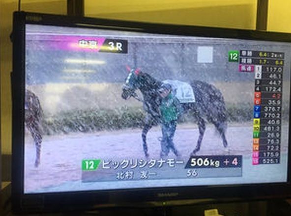 ウケた画像w：コメント5703